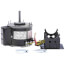 5-5/8" Totally Enclosed Fan/Blower Motor w/ Ball Bearing (115V, 1075 RPM, 1/4 HP)