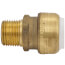 1/2" Sharkbite PVC x 1/2" MNPT Male Adapter