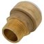 3/4" SharkBite PVC x 3/4" MNPT Male Adapter, UIP134A