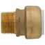 3/4" SharkBite PVC x 3/4" MNPT Male Adapter, UIP134A