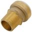 1" SharkBite PVC x 1" NPT Male Adapter, UIP140A