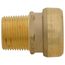 1" SharkBite PVC x 1" NPT Male Adapter, UIP140A