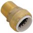 1" SharkBite PVC x 1" NPT Male Adapter, UIP140A