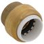 1/2" SharkBite PVC Cap, UIP514A