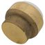 3/4" SharkBite PVC Cap, UIP518A