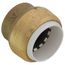 3/4" SharkBite PVC Cap, UIP518A