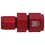 3/8" x 1/4" Union Reducer