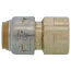 1/2" Sharkbite Max x Female Adapter (Lead Free)