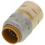 1/2" SharkBite Max x Female Adapter (Lead Free), UR072A