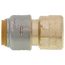 1/2" SharkBite Max x Female Adapter (Lead Free), UR072A
