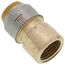 1/2" SharkBite Max x Female Adapter (Lead Free), UR072A