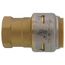 3/4" x 1/2" SharkBite Max FNPT Bullnose Adapter, UR092A