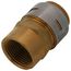 1" SharkBite Max x Female Adapter (Lead Free), UR094A
