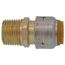 1/2" x 1/2" SharkBite Max Pipe to Male Pipe Thread Connector (Lead Free), UR120A