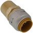 1/2" x 1/2" SharkBite Max Pipe to Male Pipe Thread Connector (Lead Free), UR120A