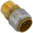 1" Sharkbite x Male Adapter (Lead Free)