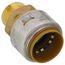 1" SharkBite x 3/4" Male Reducing Adapter (Lead Free), UR142A