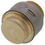 1/2" SharkBite Max EndStop (Lead Free), UR514A