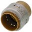 1" SharkBite Max EndStop (Lead Free), UR520A
