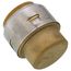 1" SharkBite Max EndStop (Lead Free), UR520A