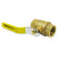 1" Full Port Threaded Ball Valve w/ Company Logo