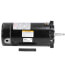 1-1/2 HP 115/230v Pool Filter Motor, 1 PH, 3600 RPM, 56J Frame, ODP