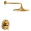 Colinet Brushed Gold M-core 2-series Shower Trim, UTS244202EPBG