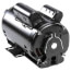 6-1/2" 1-Speed Evaporative Cooler Motor (115/230V, 1725 RPM, 2 HP)