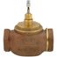 2-1/2" Two-way Female NPT Globe Valve, Steam (63 Cv)