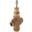 3/4" Two-way Globe Valve, Female NPT (7.3 Cv)