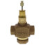 1" Two-way Globe Valve, Female NPT (11.7 Cv)