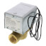 3/4" NPT Connection Zone Valve, normally open, no manual opener, for Steam applications (24v)