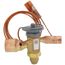 Bbize-12 1/2-ga B30 Expvalve, VAL10494