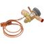Bbize-12 1/2-ga B30 Expvalve, VAL10494