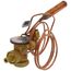 Thermal Expansion Valve 6 Ton 79 PSIG Outlet, VAL12789