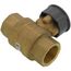 3/4" 2 Way Brass Threaded Control Ball Valve for MVN Actuator (10.1 Cv)