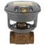 3/4" NPT Normally Open 2-Way Globe Valve, 3 to 6 psig (7.3 Cv)
