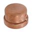 2-1/2" XL-C ProPress Copper Cap