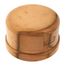 4" XL-C ProPress Copper Cap