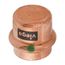 3/4" ProPress Copper Cap