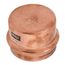 2" ProPress Copper Cap