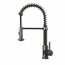 Edison Single Handle Pull-Down Sprayer Kitchen Faucet (Graphite Black), VG02001GB
