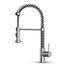 Edison Single Handle Pull-Down Sprayer Kitchen Faucet (Stainless Steel), VG02001ST