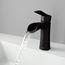 Paloma Single Handle Bathroom Faucet (Matte Black), VG01041MB