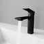 Davidson Single Handle Bathroom Faucet (Matte Black), VG01043MB