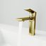Davidson Single Handle Bathroom Faucet (Matte Brushed Gold), VG01043MG