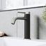 Madison Single Handle Bathroom Faucet (Brushed Nickel/Carbon Fiber), VG01044BN
