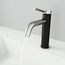 Madison Single Handle Bathroom Faucet (Brushed Nickel/Carbon Fiber), VG01044BN
