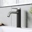 Madison Single Handle Bathroom Faucet (Chrome/Carbon Fiber), VG01044CH