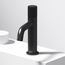 Apollo Button Operated Bathroom Faucet (Matte Black), VG01048MB